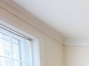 a dining room with a table and chairs and a ceiling fan